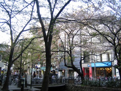 高瀬川３