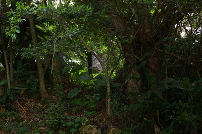勢理城１１