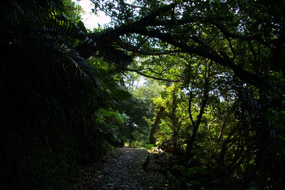 屋良城跡８