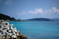 阿嘉島 　１ 2008/09/01 04:16:00