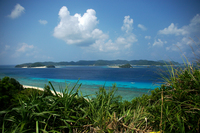 阿嘉島　１９ 2008/09/17 08:16:00