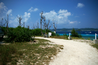 阿嘉島　２３ 2008/09/18 13:17:00
