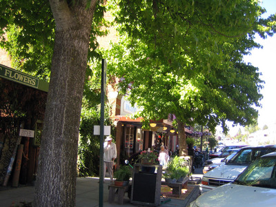 Bellingham　２３