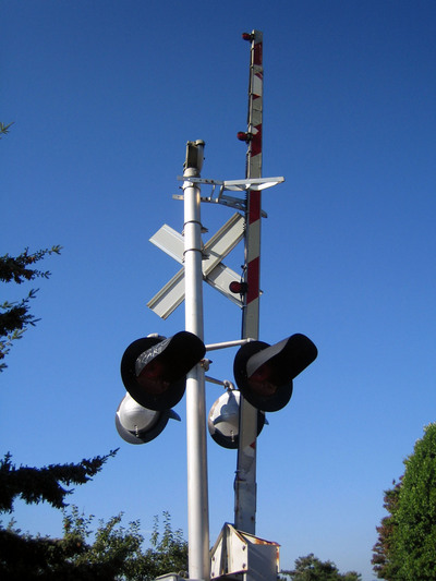 Bellingham　２９