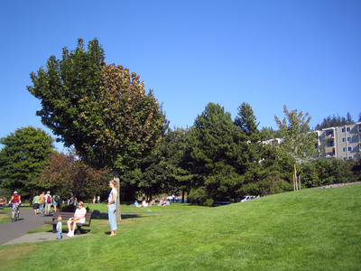 Bellingham　３１
