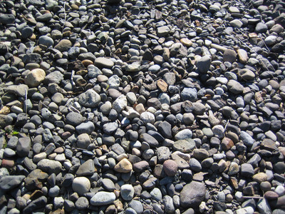 Bellingham　３９