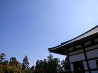 てら 2008/10/29 09:13:00
