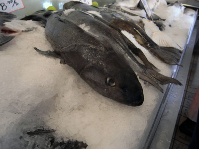 PUBLIC MARKET 7