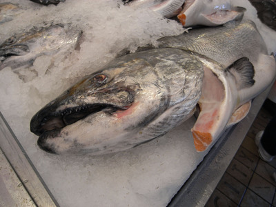 PUBLIC MARKET 8