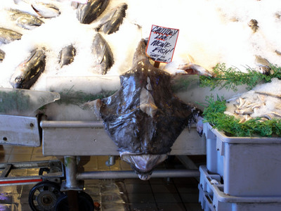 PUBLIC MARKET 13