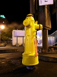最近見なくなったけどここにはたくさんあった 2008/10/30 20:32:30
