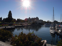 VICTORIA　３０