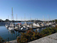 VICTORIA　３１