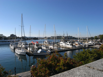 VICTORIA　３１