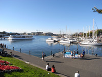 VICTORIA　３５
