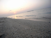 こちらも東シナ海