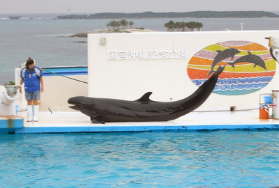またまたしばらく水族館です。。。４７