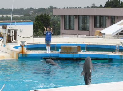 またまたしばらく水族館です。。。４８