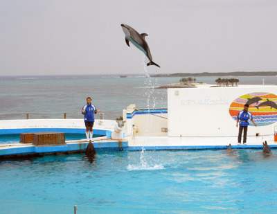 またまたしばらく水族館です。。。５１
