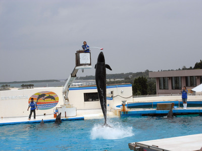 またまたしばらく水族館です。。。５６