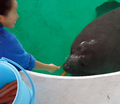 またまたしばらく水族館です。。。６７