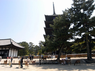 興福寺　３