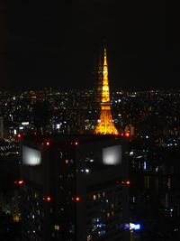 東京タワー 2009/01/09 10:16:00