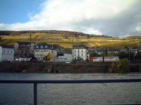 RHEIN CRUISE