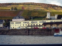 RHEIN CRUISE