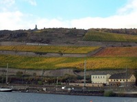 RHEIN CRUISE