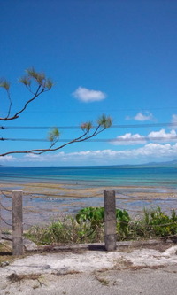 宝の海 2011/07/30 13:43:16