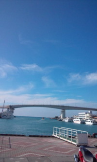 久し振り 2011/11/12 16:52:28
