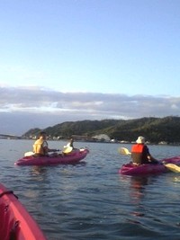 大宜味村を守りたい… 2008/12/22 19:11:57