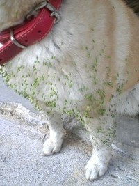 脱走犯 2009/01/29 14:42:26