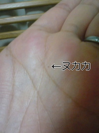 不法侵入 2009/07/05 22:54:39