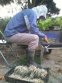 今日の働きぶり 2009/09/23 23:53:11