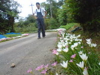 お花と竹パン 2009/10/12 10:29:56