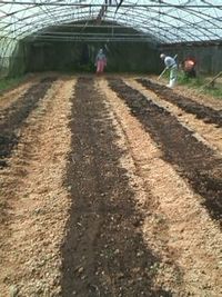 堆肥投入 2009/10/27 20:56:38