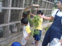 うさぎちゃん 2009/11/16 07:47:28