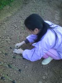 植え付け 2009/12/11 18:48:49