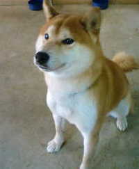 天に届け！ 2009/06/18 08:37:17