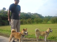 やっぱり柴だな 2009/05/29 12:34:25