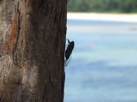 沖縄の夏も終わり。。。