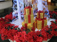 クリスマスイルミネーション