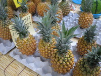 家庭でのエコ 2008/05/22 08:58:19