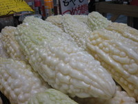 白のゴーやー 2008/07/09 07:09:09