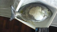 リベンジやって参りました！ 2012/05/20 00:49:12