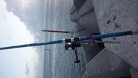 タマーーーン 2012/07/29 19:42:31