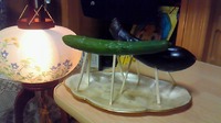 お盆には・・・ 2009/09/06 00:46:57