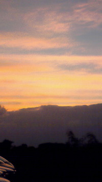 秋の空♪ 2009/11/06 13:36:40
